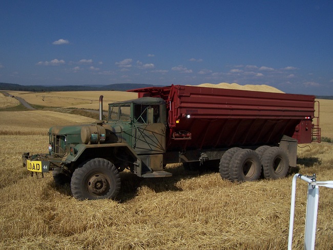 Exclusive Guide: 10 Things To Know When Buying Grain Truck