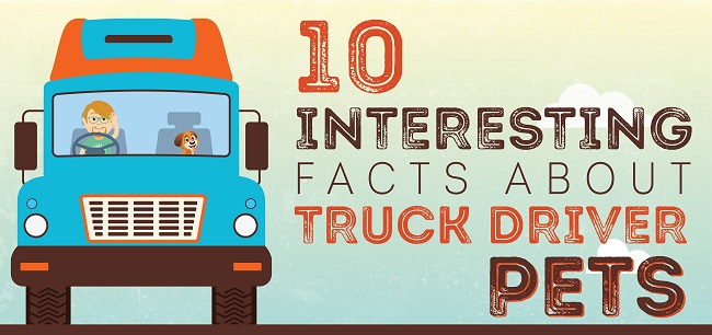 INFOGRAPHIC: 10 Interesting Facts About Truck Driver Pets