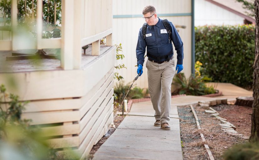 Pest Control Atlanta: 15 Leading Service Providers