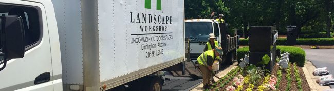 landscape workshop is one of the best landscaping companies