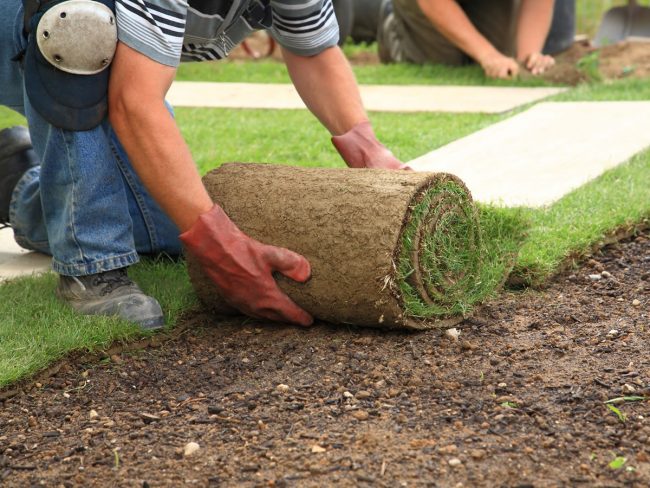 landscaping companies: what are the top 10
