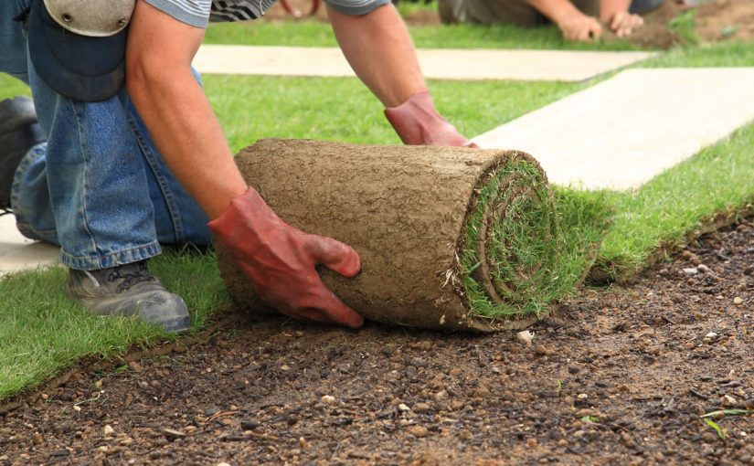 Top 10 Landscaping Companies in The USA
