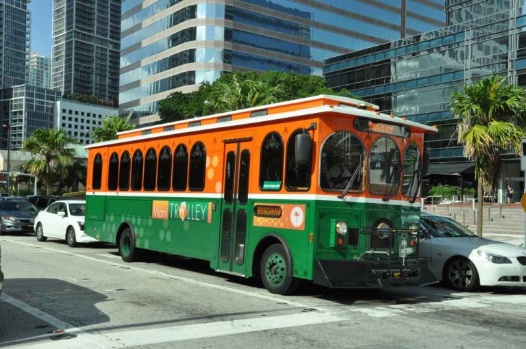 Your Guide To Local Transportation In Miami