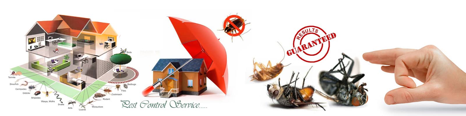 Pest Control Utah County