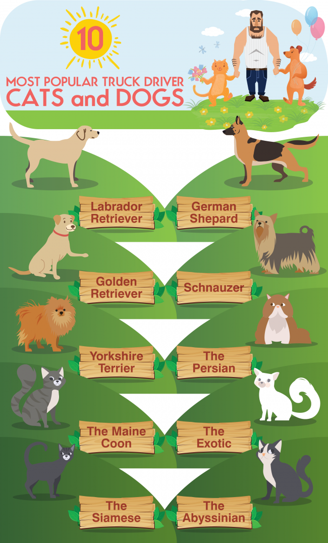 INFOGRAPHIC: 10 Most Popular Truck Driver Cats and Dogs