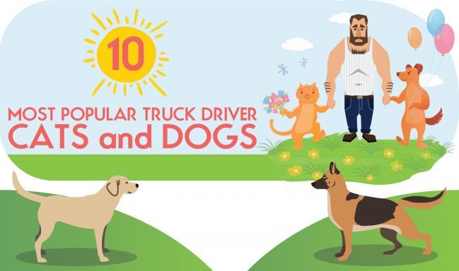 INFOGRAPHIC: 10 Most Popular Truck Driver Cats and Dogs